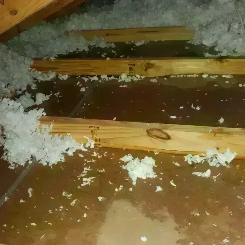 Attic Water Damage in Burlington, WA