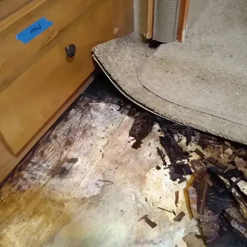 Wood Floor Water Damage in Burlington, WA